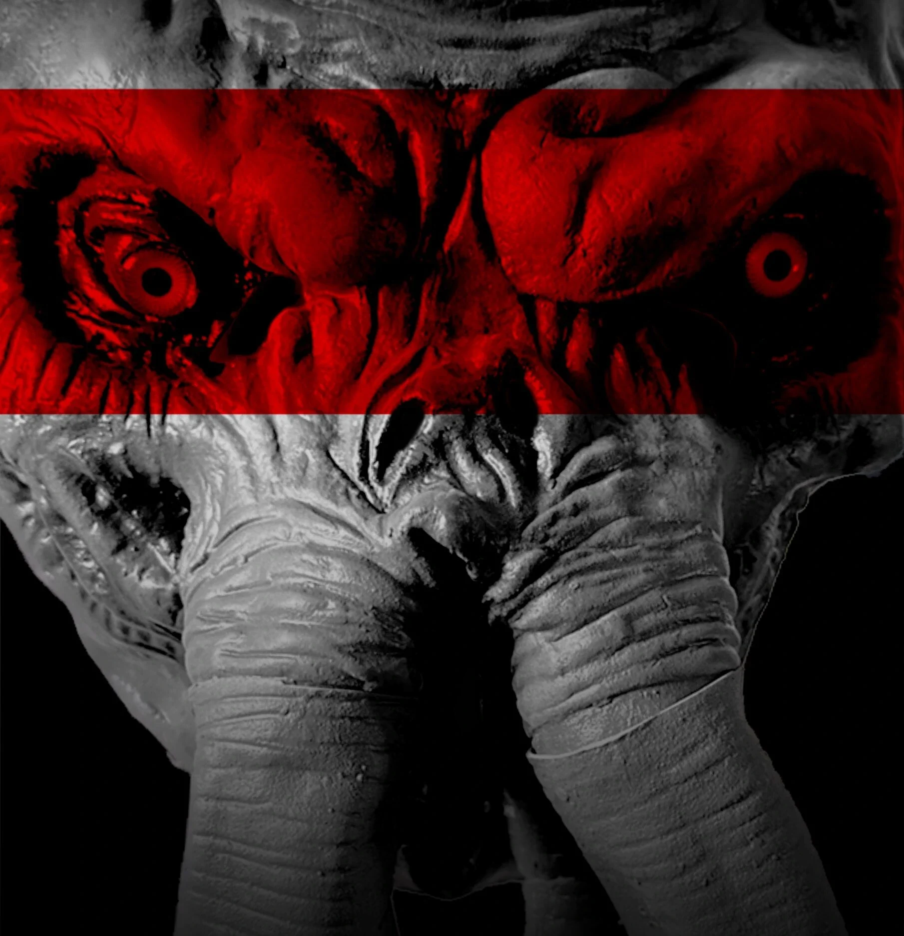 video image
